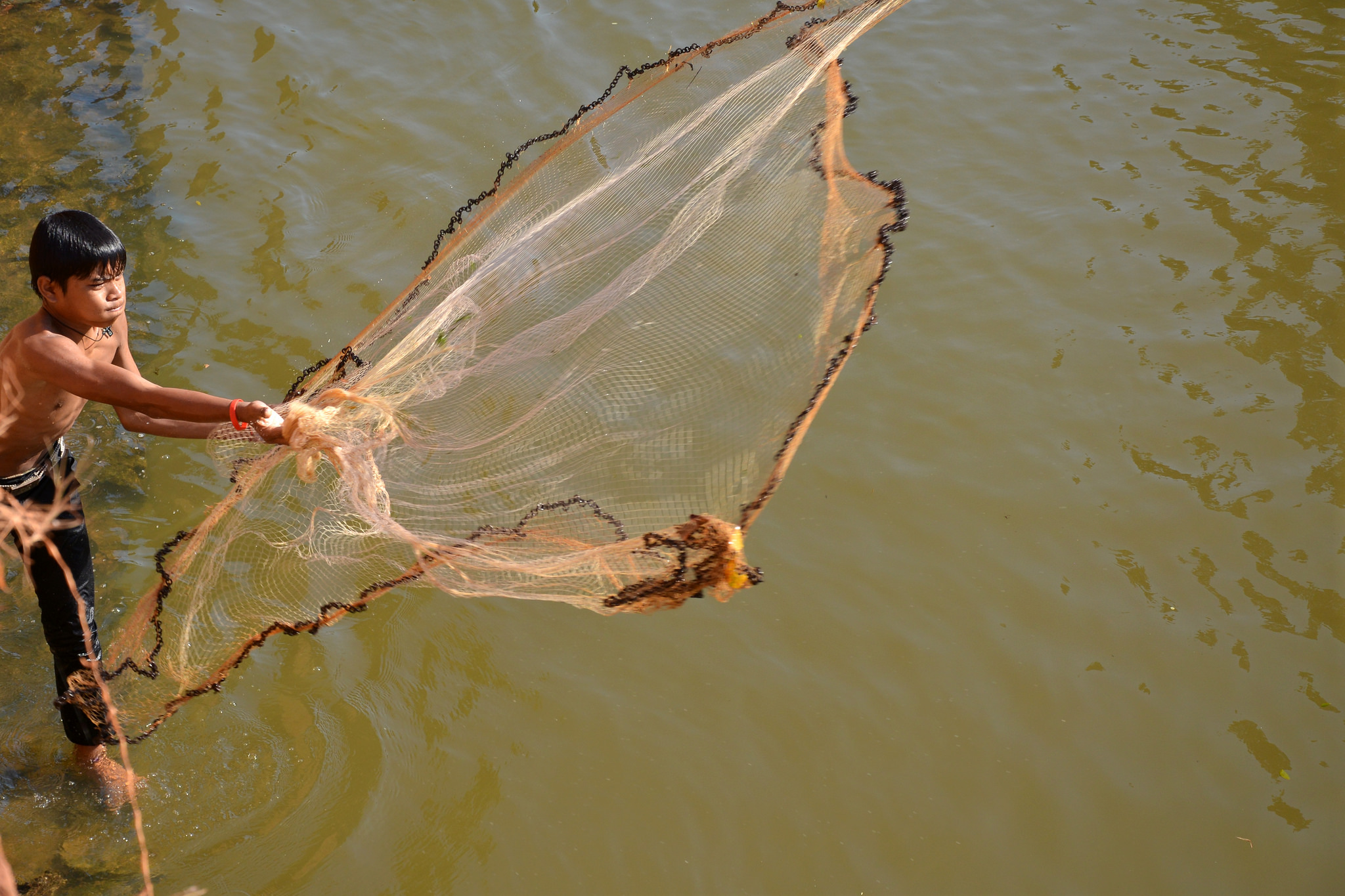 Traditional Cast Net Fishing in River 