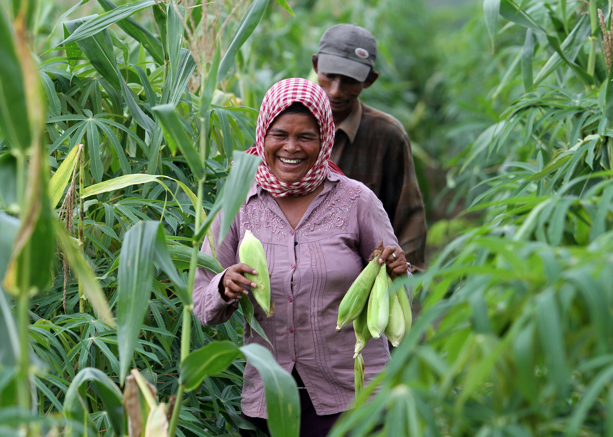 farm tourism in cambodia