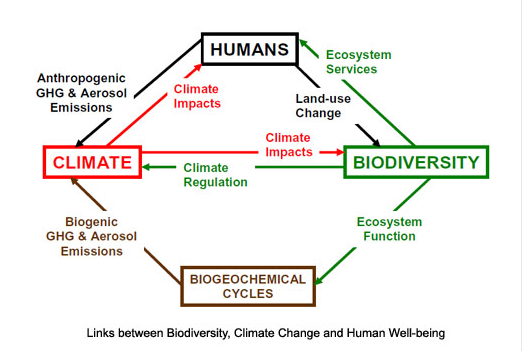 Biodiversity | Open Development Cambodia (ODC)