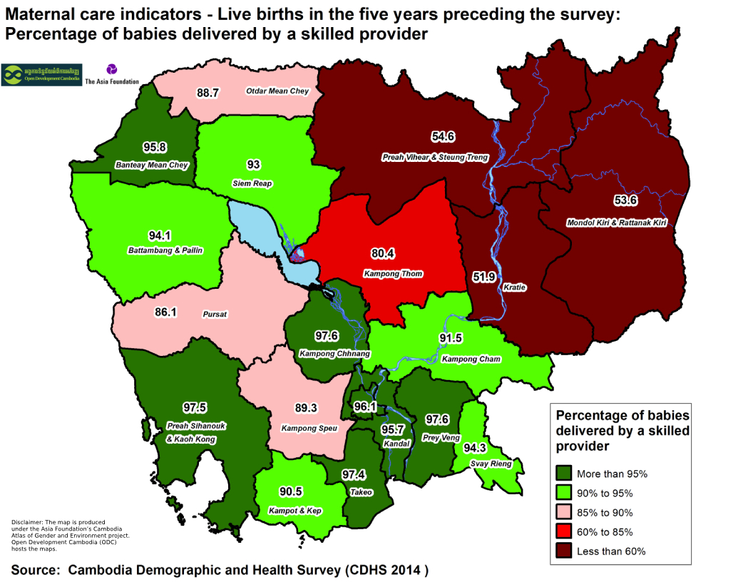 Maternal Care - Percentage of babies delivered by a skilled provider
