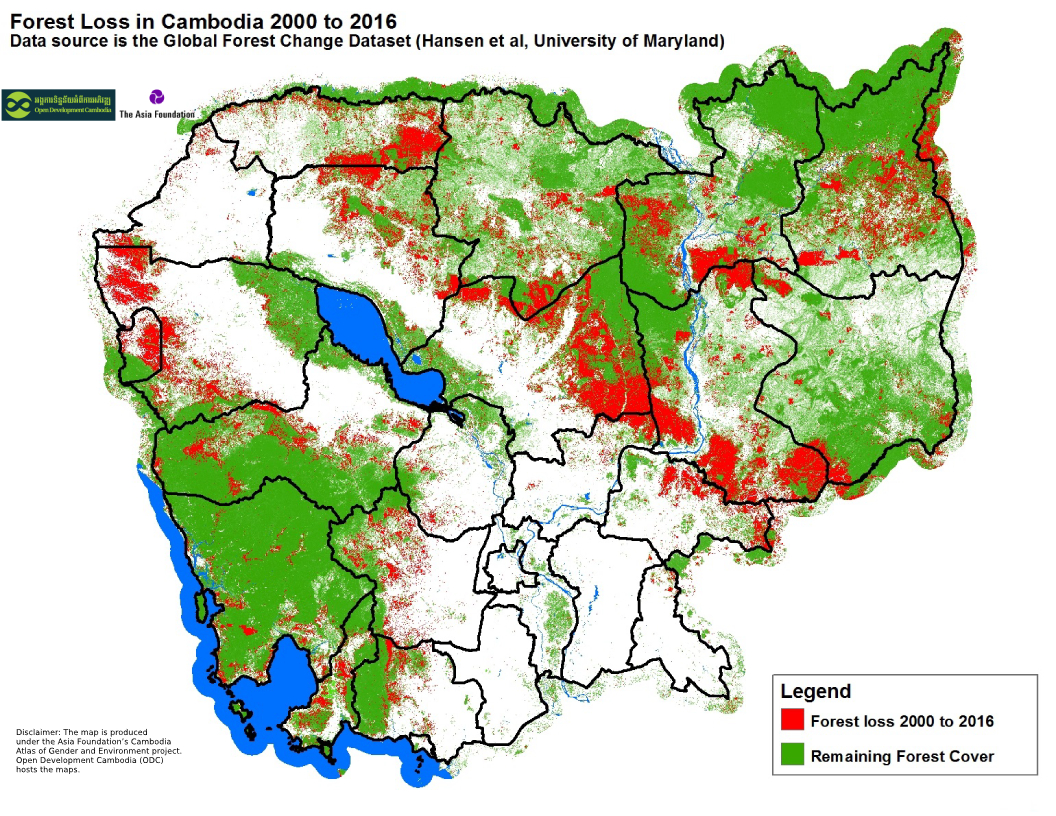 Forest Loss 2000 to 2016