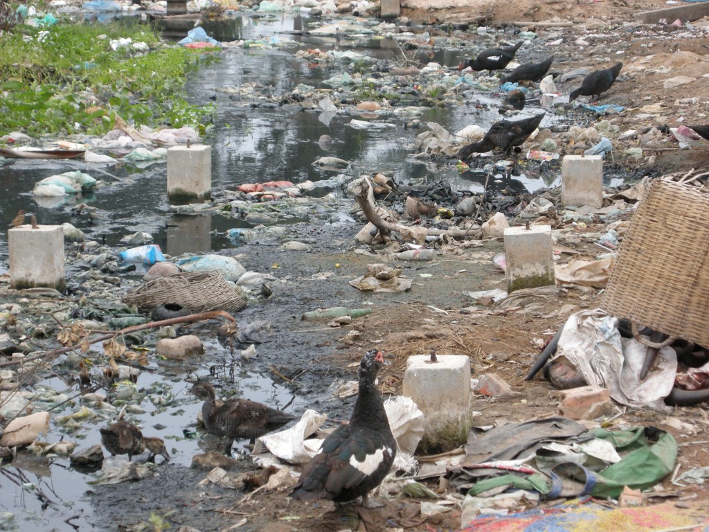 Foul fowls, Siem Reap Province, Cambodia. Photograph by David Villa. Licensed under Creative Commons Attribution 2.0 Generic.