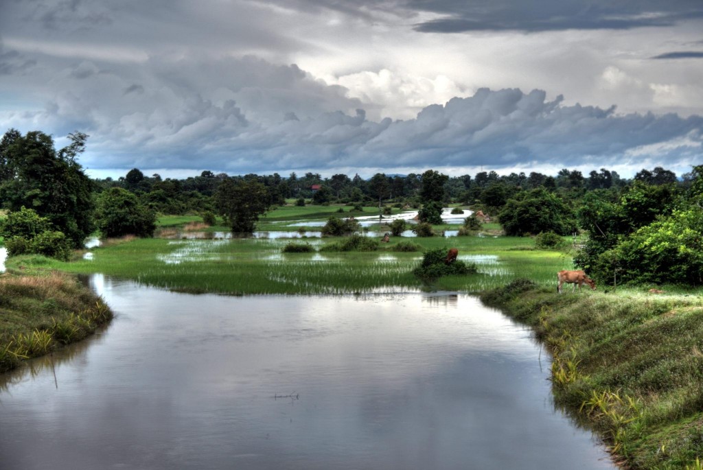 Cambodia. Photograph by Wakx. Licensed under Creative Commons Attribution-NonCommercial 2.0.