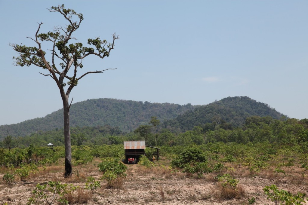 Locally-named "Iron hill" in Kampong Cham province. Iron ore has been found here. Photograph 8 July 2015, ODC.ភ្នំដែកនៅខេត្តកំពង់ចាម។រ៉ែដែកត្រូវបានរកឃើញនៅទីនេះ។ថតនៅថ្ងៃទី៨ ខែកក្កដា ឆ្នាំ២០១៥ ដោយក្រុមការងារអង្គការទិន្នន័យអំពីការអភិវឌ្ឃ។