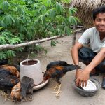 https://www.flickr.com/photos/worldbank/10476009745/
