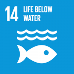 sdg-14