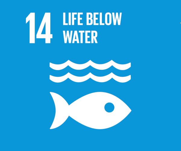 sdg-14